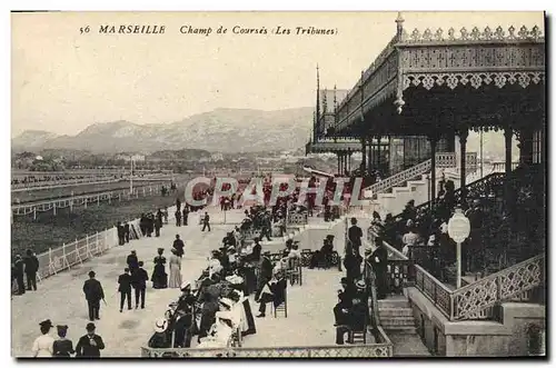 Cartes postales Cheval Equitation Hippisme Marseille Champ de courses les tribunes