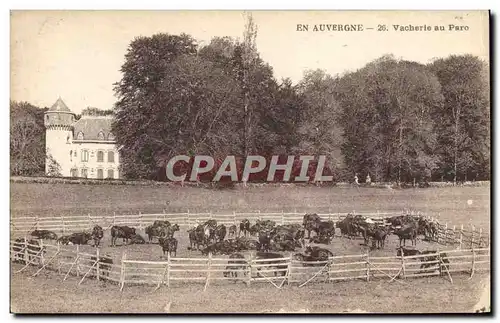 Cartes postales Auvergne Vacherie au parc Vaches