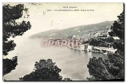 Cartes postales Villefranche sur mer Entre les pins