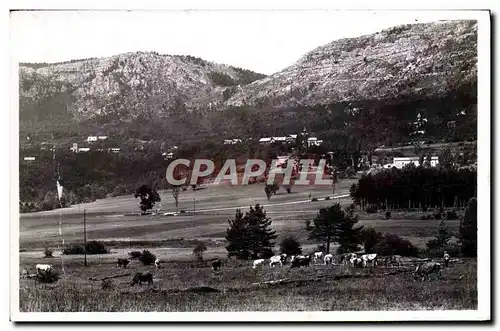 Ansichtskarte AK Thorenc Vue Generale Et Col De Bleyne Vaches