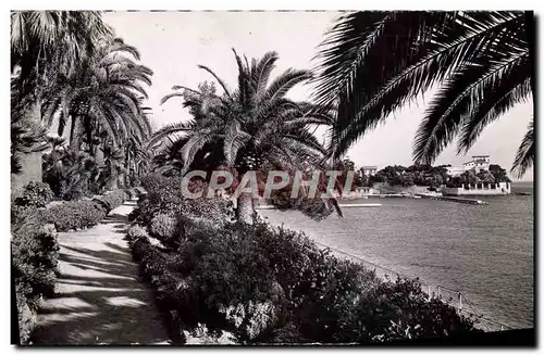 Cartes postales moderne Beaulieu Sur Mer Le Jardin Exotique La villa Kerylos