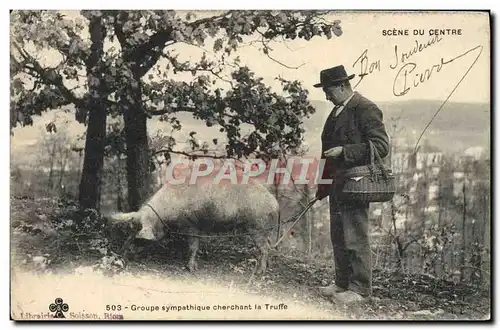 Cartes postales Cochon Porc Folklore La recolte de la truffe Groupe sympathique la recolte TOP