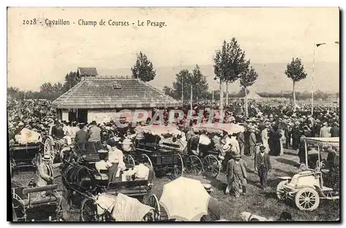 Cartes postales Cheval Equitation Hippisme Cavaillon Champ de courses Le pesage TOP