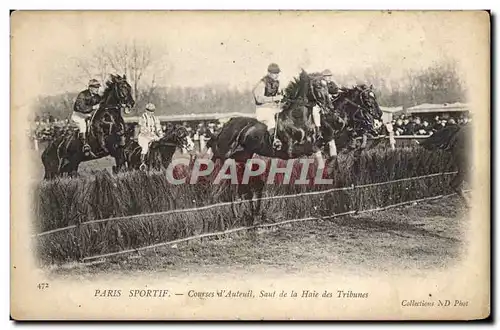 Cartes postales Cheval Equitation Hippisme Paris Sportif Courses d'Auteuil Saut de la haie des tribunes
