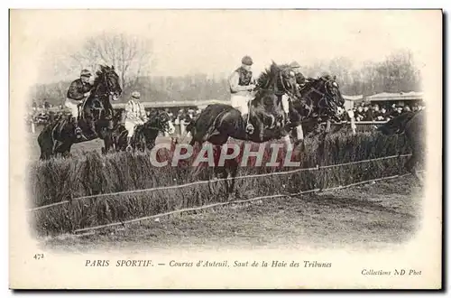 Cartes postales Cheval Equitation Hippisme Paris Sportif Courses d&#39Auteuil Saut de la haie des tribunes