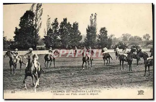 Cartes postales Cheval Equitation Hippisme Courses de Maisons Laffitte Chevaux sur piste avant le depart