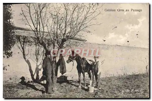 Ansichtskarte AK Cheval Equitation Hippisme Gedeon Gros au pansage