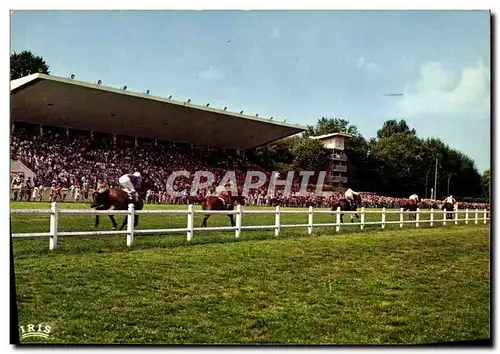 Cartes postales moderne Cheval Equitation Hippisme Vichy Hippodrome Passage de la course devant la tribune