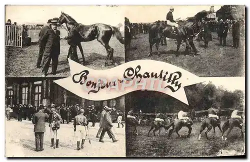 Cartes postales Cheval Equitation Hippisme Chantilly