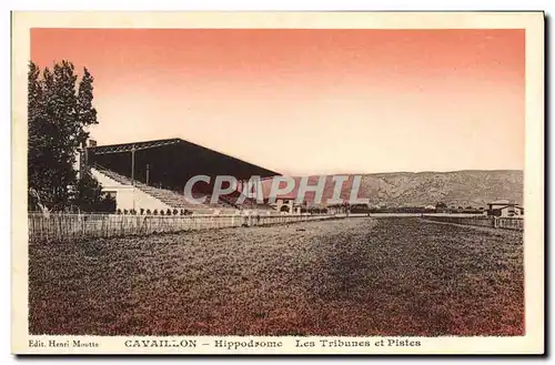 Ansichtskarte AK Cheval Equitation Hippisme Cavaillon Hippordome Les tribunes et pistes