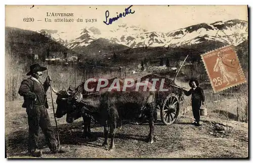 Ansichtskarte AK Auvergne Un attelage du pays Vaches