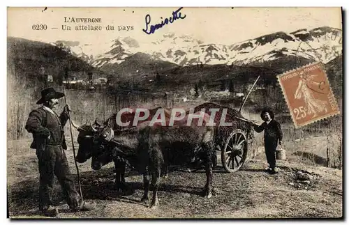 Cartes postales Auvergne Un attelage du pays Vaches