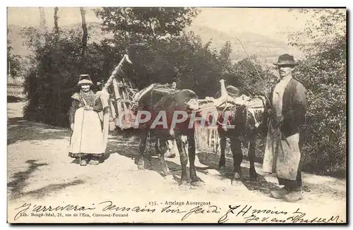 Cartes postales Attelage Auvergnant Folklore