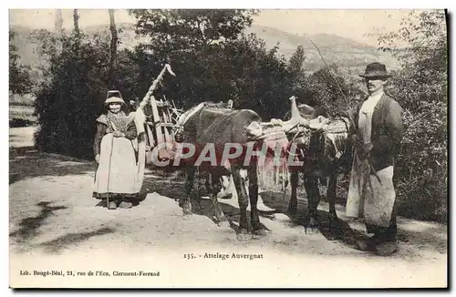 Cartes postales Attelage Auvergnat Vaches Folklore