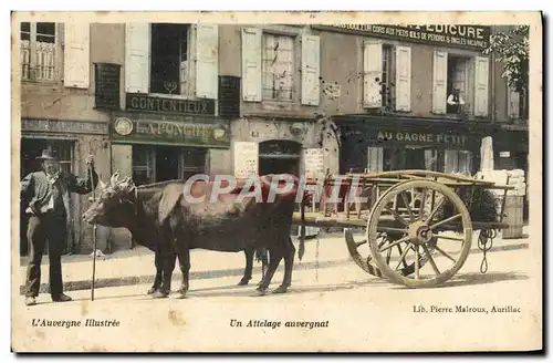 Cartes postales Auvergne Un Attelage auvergnat