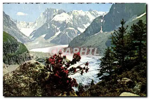 Cartes postales moderne Le Mont Blanc La mer de glace Massif des Grandes Jorasses