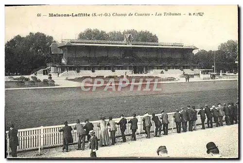 Cartes postales Cheval Equitation Hippisme Maisons Laffitte Champ de courses les tribunes