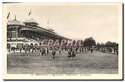 Cartes postales Cheval Equitation Hippisme Deauville l&#39hippodrome Les tribunes
