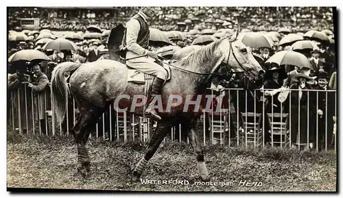 Ansichtskarte AK Cheval Equitation Hippisme Waterford monte par Head
