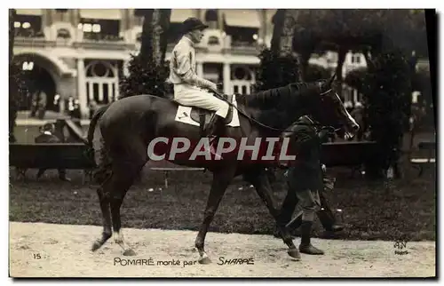 Cartes postales Cheval Equitation Hippisme Pomare monte par Sharpe