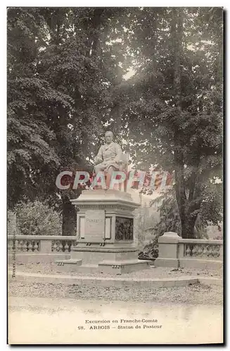 Cartes postales ARbois Statue de Pasteur