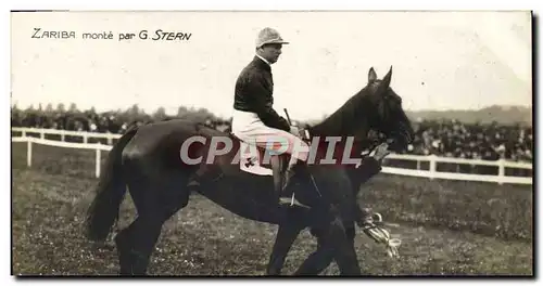 Cartes postales Cheval Equitation Hippisme Zariba monte par G Stern