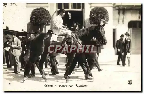 Cartes postales Cheval Equitation Hippisme Kefalin monte par Sharpe