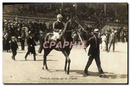 Cartes postales Cheval Equitation Hippisme Ramlis monte par G Stern