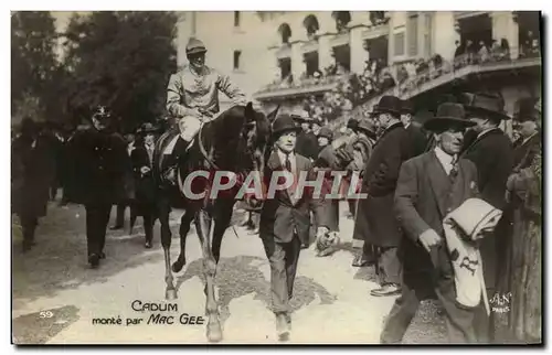 Cartes postales Cheval Equitation Hippisme Cadum monte par Mac Gee