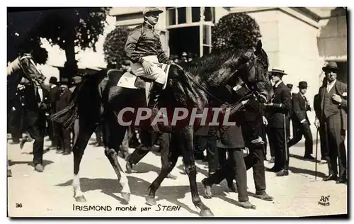 Ansichtskarte AK Cheval Equitation Hippisme Irismond monte par Stern