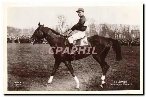 Ansichtskarte AK Cheval Equitation Hippisme Colombo monte par Hamel