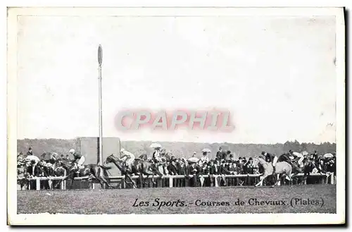 Cartes postales Cheval Equitation Hippisme Les sports Courses de chevaux Plates