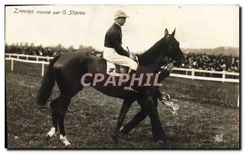 Cartes postales Cheval Equitation Hippisme Zariba monte par G Stern