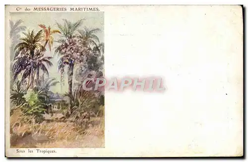 Cartes postales Bateau Paquebot Messageries Maritimes Sous les Tropiques