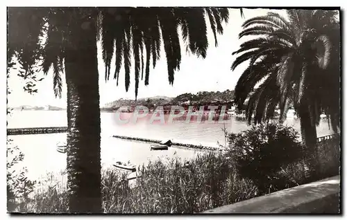 Cartes postales moderne Beaulieu Sur Mer Vue Sur la Mer et le Cap Ferrat