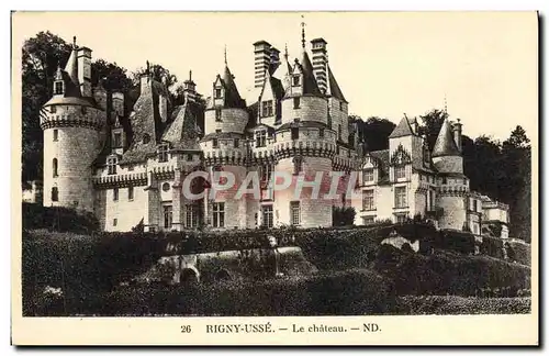 Cartes postales Rigny Usse Le Chateau