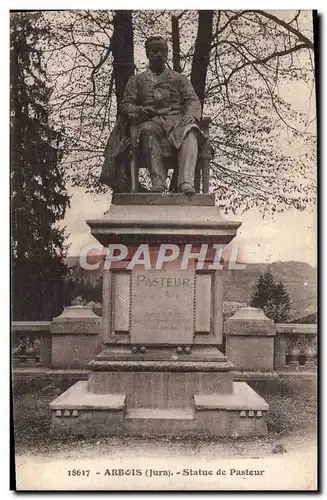 Cartes postales Arbois Statue de Pasteur