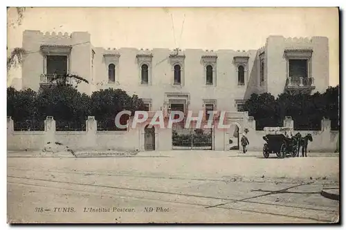 Cartes postales Tunisie Tunis Institut Pasteur