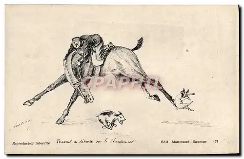 Cartes postales Cheval Equitation Hippisme Travail de detente sur le Chardonnet Chein
