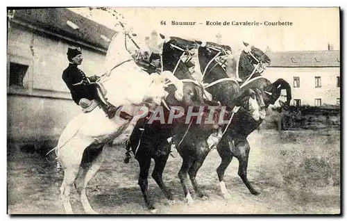 Cartes postales Cheval Equitation Hippisme Saumur Ecole de cavalerie Courbette