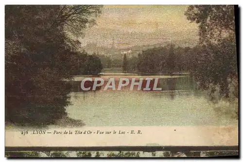 Cartes postales Lyon Parc de la Tete d&#39Or Vue Sur le Lac