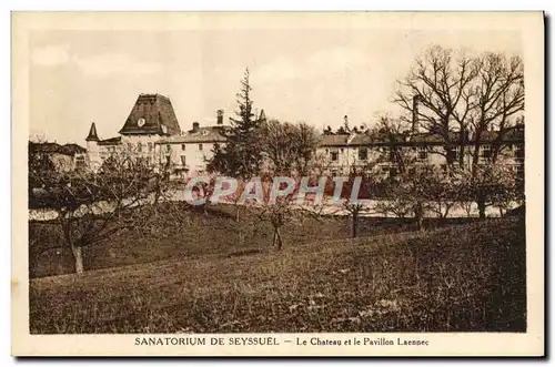 Cartes postales Sanatorium De Seyssuel Le Chateau et le Pavillon Laennec