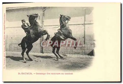 Ansichtskarte AK Cheval Equitation Hippisme Saumur Dressage des sauteurs en tendem