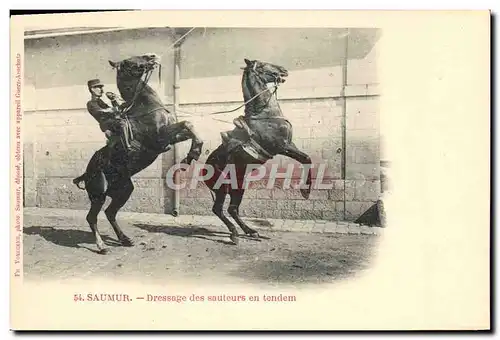 Cartes postales Cheval Equitation Hippisme Saumur Dressage des sauteurs en tendem