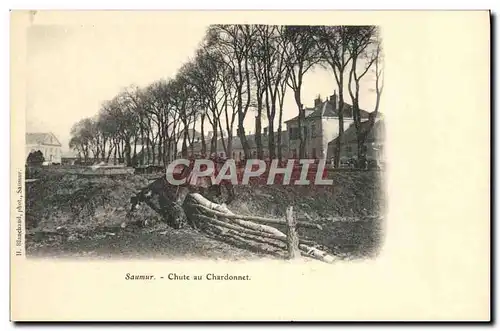 Cartes postales Cheval Equitation Hippisme Saumur Chute au Chardonnet