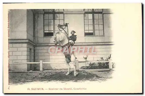 Ansichtskarte AK Cheval Equitation Hippisme Saumur Sauteur en liberte Courbette