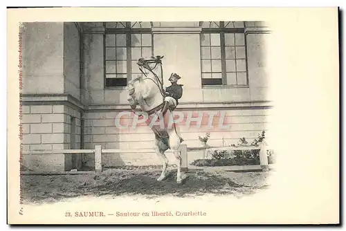 Cartes postales Cheval Equitation Hippisme Saumur Sauteur en liberte Courbette