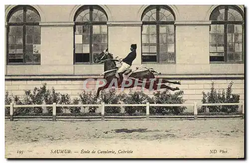 Cartes postales Cheval Equitation Hippisme Saumur Ecole de cavalerie Cabriole