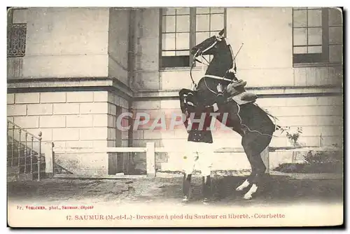 Cartes postales Cheval Equitation Hippisme Saumur Dressage a pied du sauteur en liberte Courbette