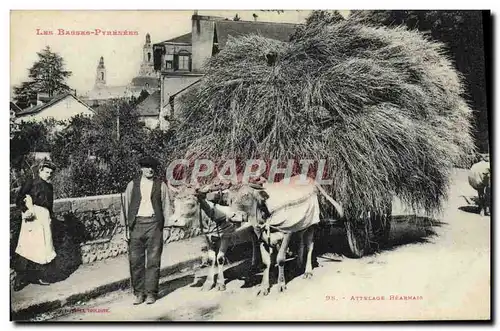 Cartes postales Folklore Basses Pyrenees Attelage Bearnais Boeufs TOP